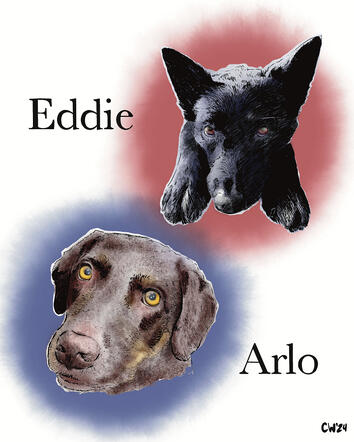 (Dogs, basic)